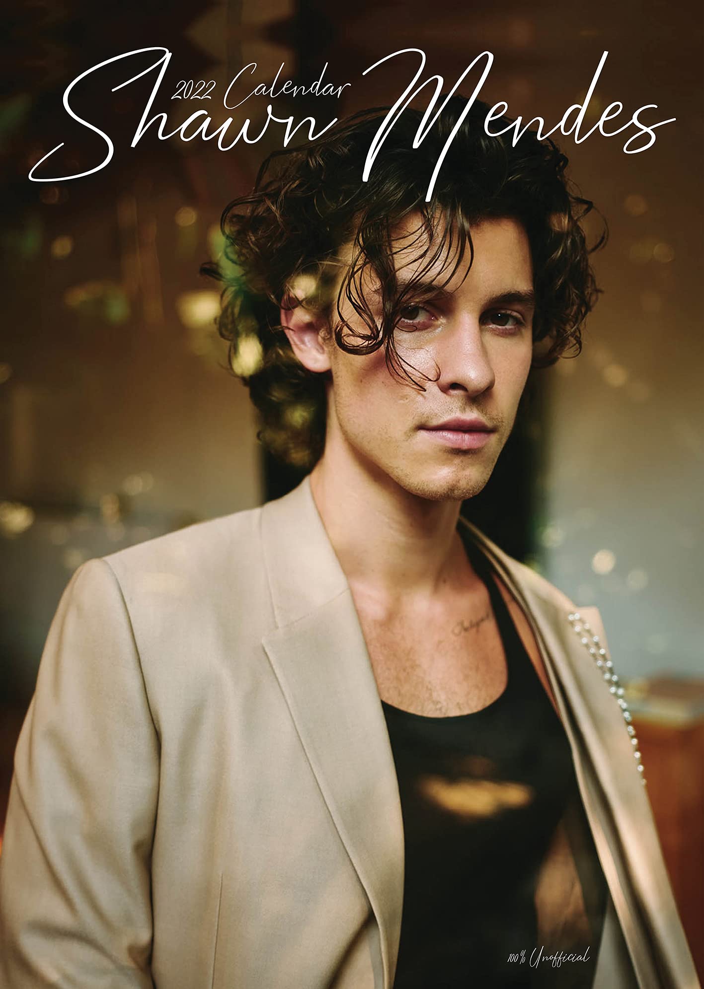 Shawn Mendes 2022 A3 Rebel Music Wirobound Wall Calendar The Perfect Xmas or Birthday Gift