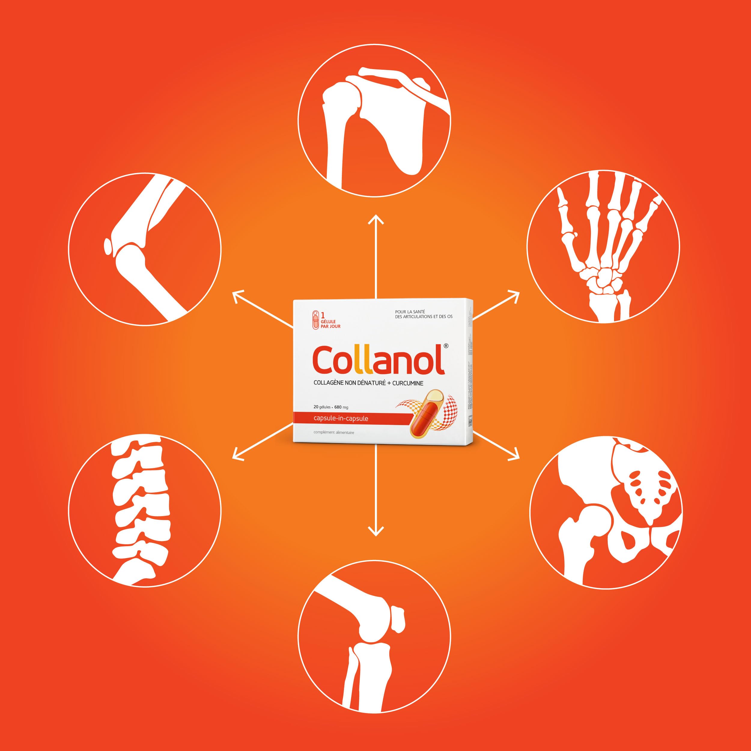 Collanol – innovation dans le soin des articulations saines. Formule liquide dans une double gélule, Collagène 3D + extrait micellaire de racines de curcuma. 1 capsule/jour.(20 Prises)