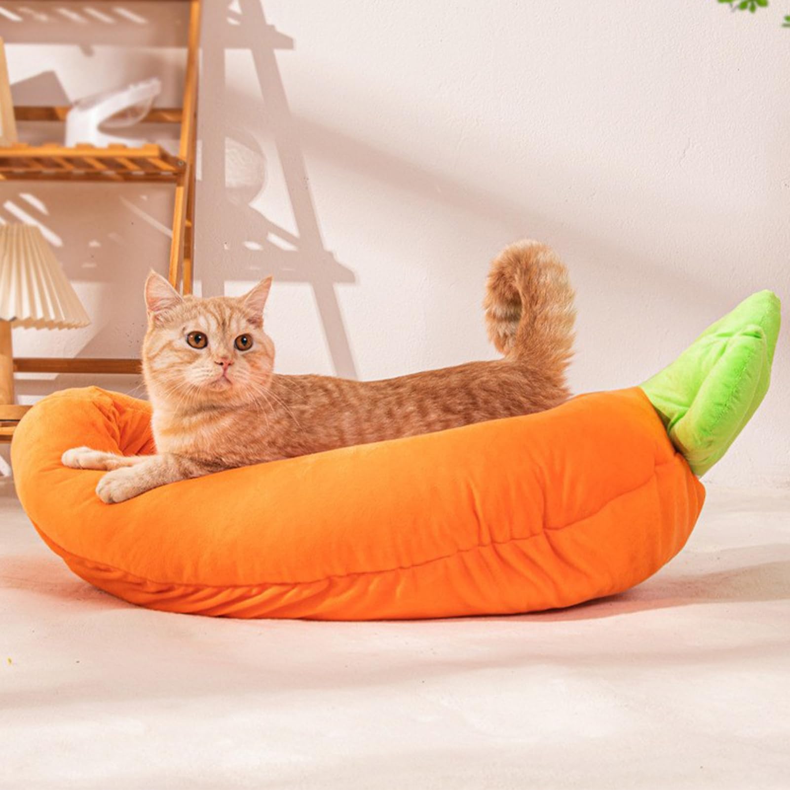 Kleines Katzenbett, warme Möhre, waschbar, für Haustiere, waschbar, für den Winter, mit weicher Polsterung, für Welpen, Kätzchen, Kaninchen, Innenschlafzimmer, Wohnzimmer, Balkon, Apar