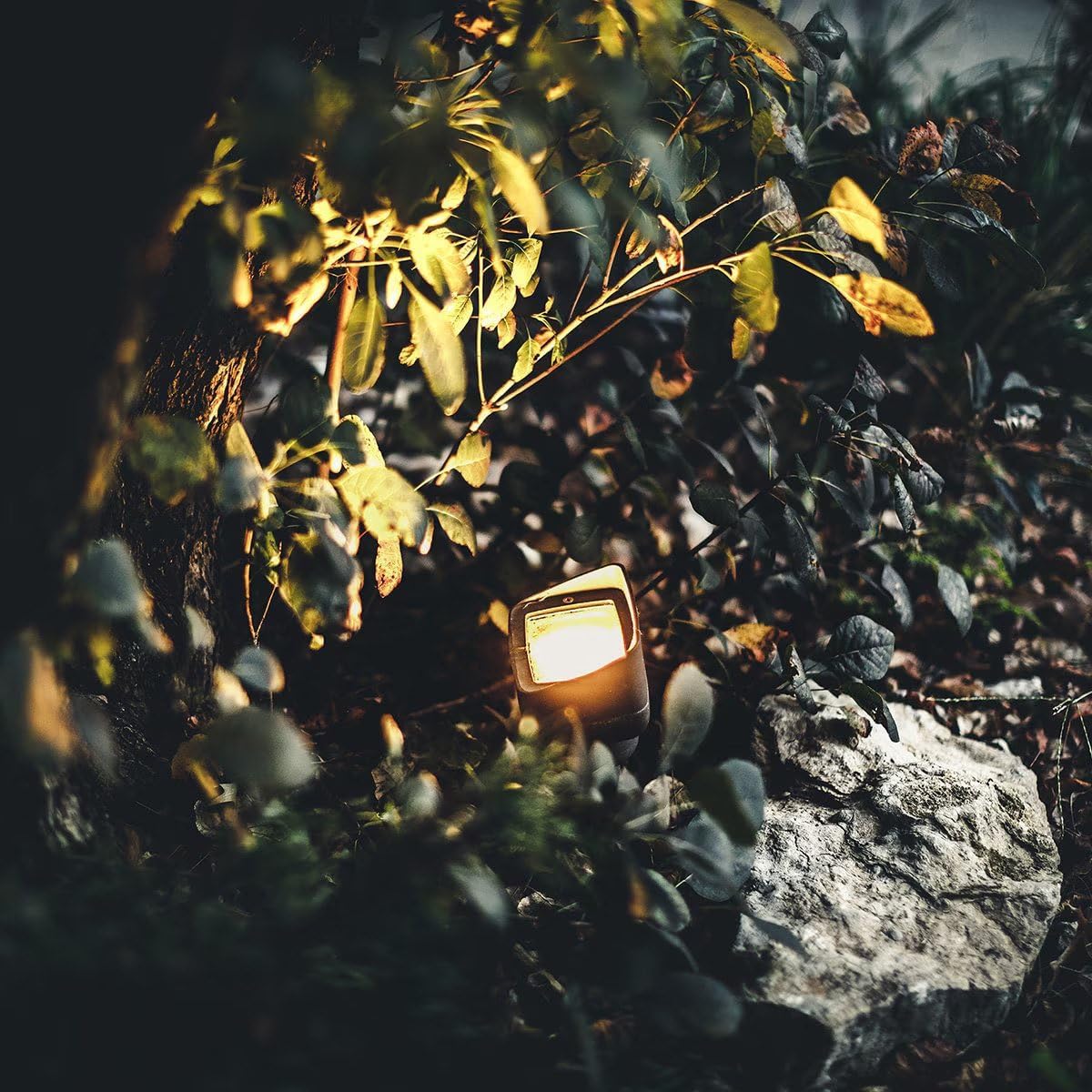 SPW Pro-Trade PT-FL1-BK-NL Flood Light Wall Wash Fixture Aluminum Housing Black Finish Outdoor Landscape Lighting - LED Bulb Not Included