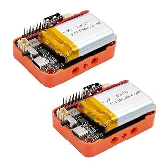 2-Pack LiPo Battery Module, USB-C Rechargeable 1200mAh, 3.3V 5V USB Output