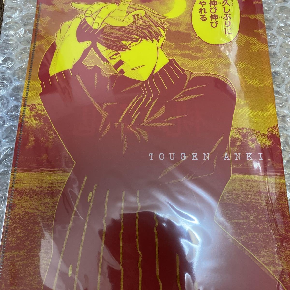 Amazon.co.jp: 桃源暗鬼 有償特典 ダブルポケットクリアファイル 