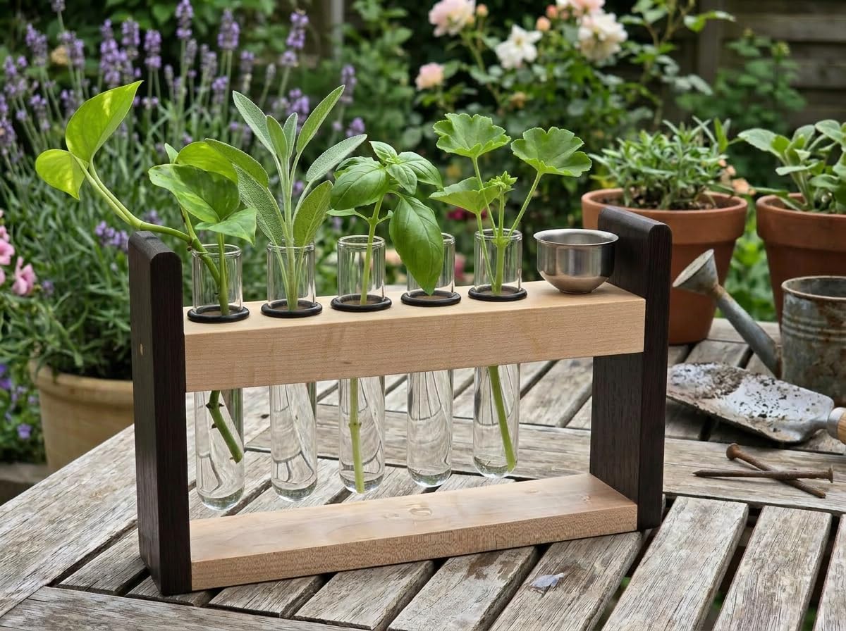 Handgefertigtes Reagenzglas-Gewürzregal mit Trichter, Wenge/Ahorn | Schwimmende Glasfläschchen für Seasoniong, Badesalzaufbewahrung, Pflanzenvermehrungsröhrchen, moderne Küchendekoration