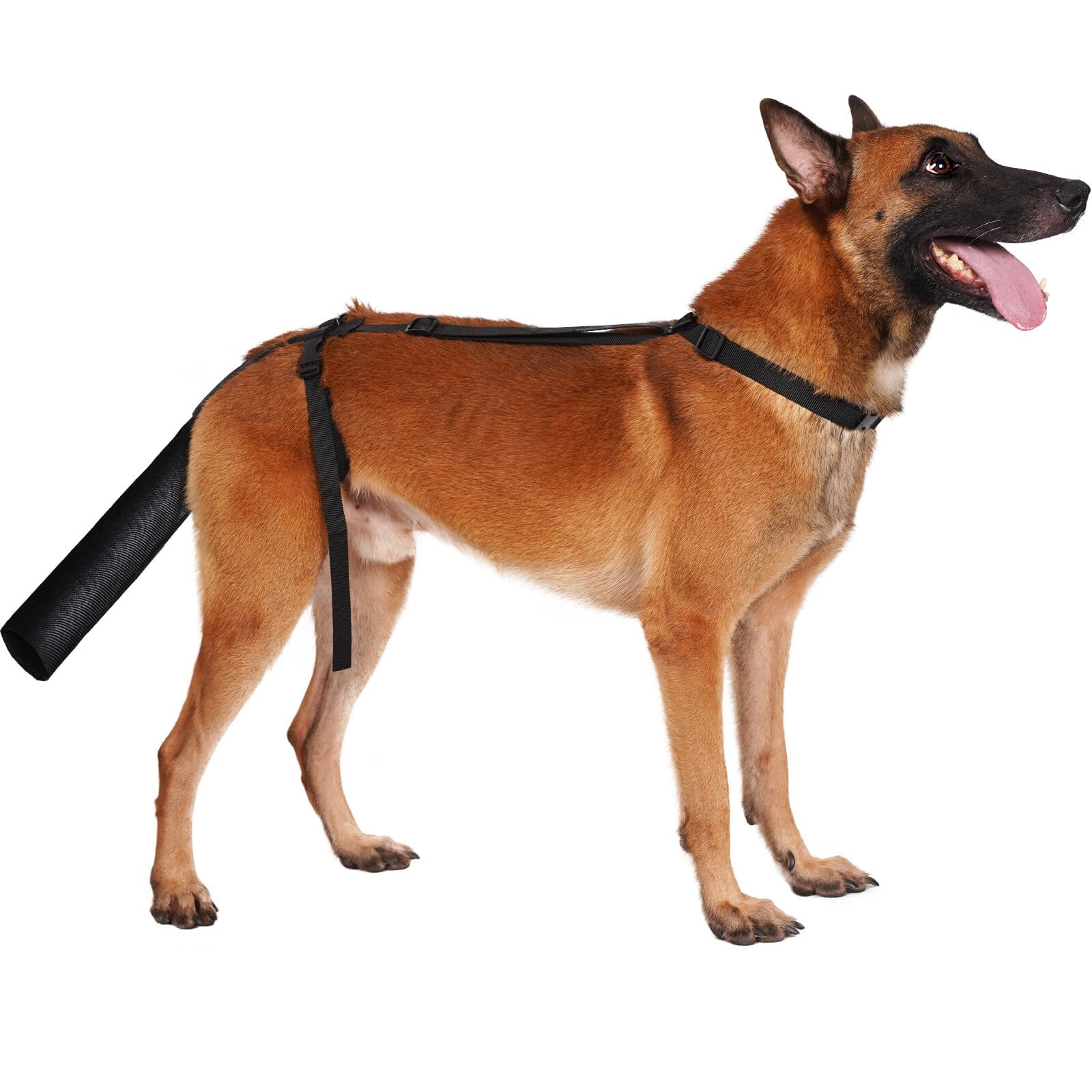 BarklessDog Tail Protector, Dog Tail Guard for Medium Large Dogs, Adjustable Cover to Prevents Licking Wounds, Breathable Tail End Bag for Recovery
