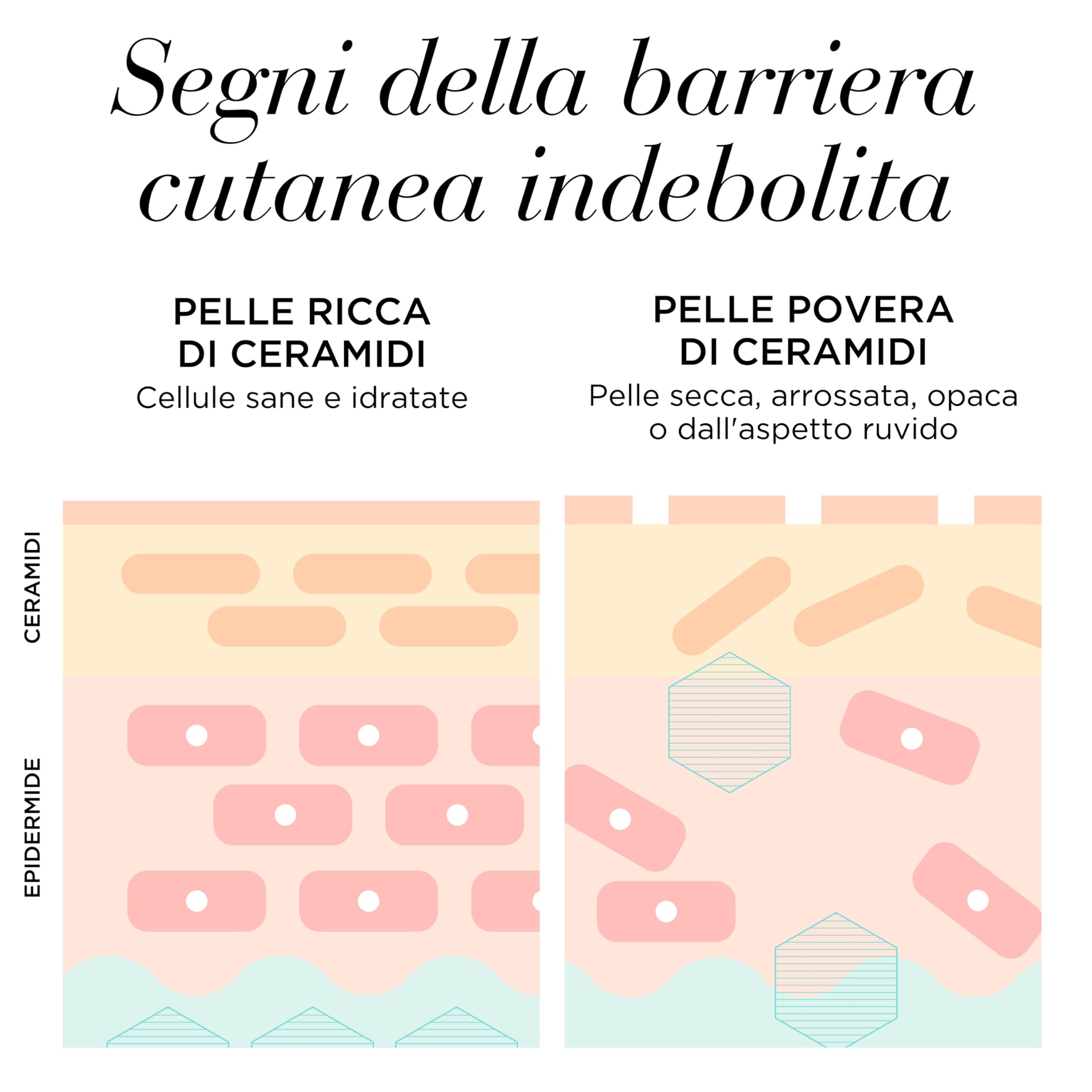 Elizabeth Arden - Advanced Ceramide, Capsule di Siero di Ceramide, con Olio di Tsubaki, Triplo Effetto Anti-Età, Ripara, Idrata e Leviga le Rughe, Dose Singola, Applicare 1 al Giorno