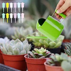 Annaffiatoio In Acciaio Inossidabile 300ml | Bocca Lunga Per Piante E Fiori | Ideale Per Giardino E Interni - 2