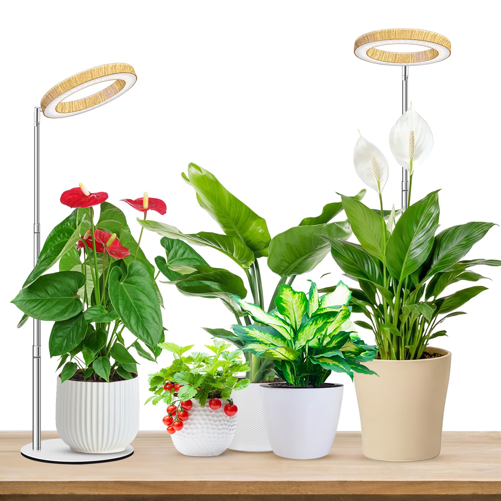 Aokrean Grow Light, Full Spectrum 6.3in Halo Plant Light for Indoor Growing