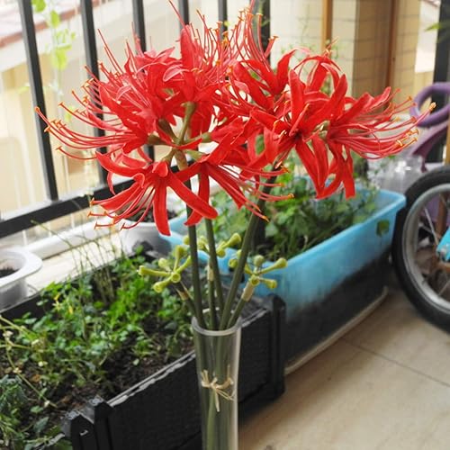 Miniatura 6 de Calcifer 3 tallos de lirios de araña roja, flores artificiales, bulbos de Lycoris (rojo)