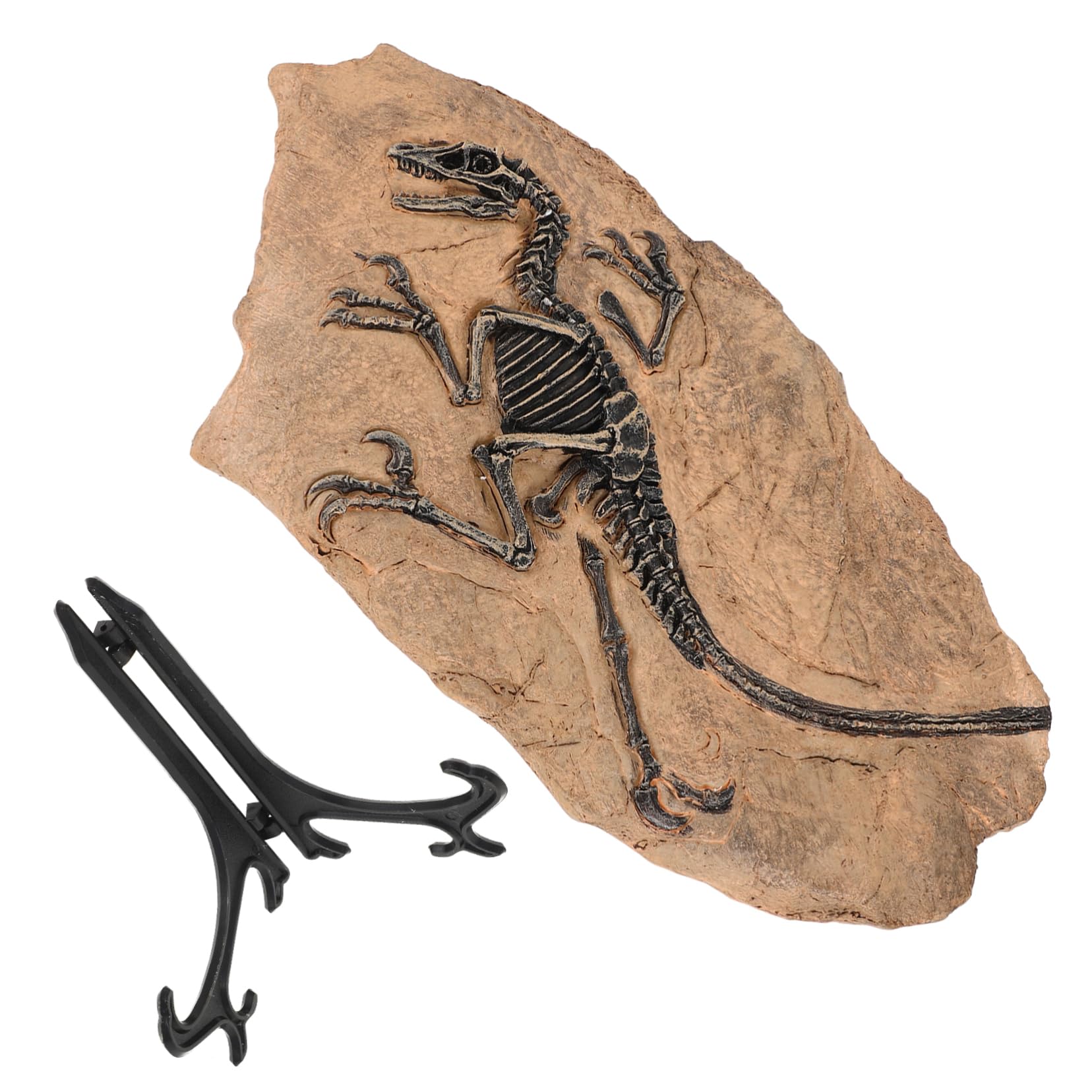 VICASKY Dinosaurier Fossilien Dekoration aus Kunstharz Realistische Dinofiguren für Geburtstags und Partydeko Fördert Kreativität und Wissensentwicklung bei Kindern