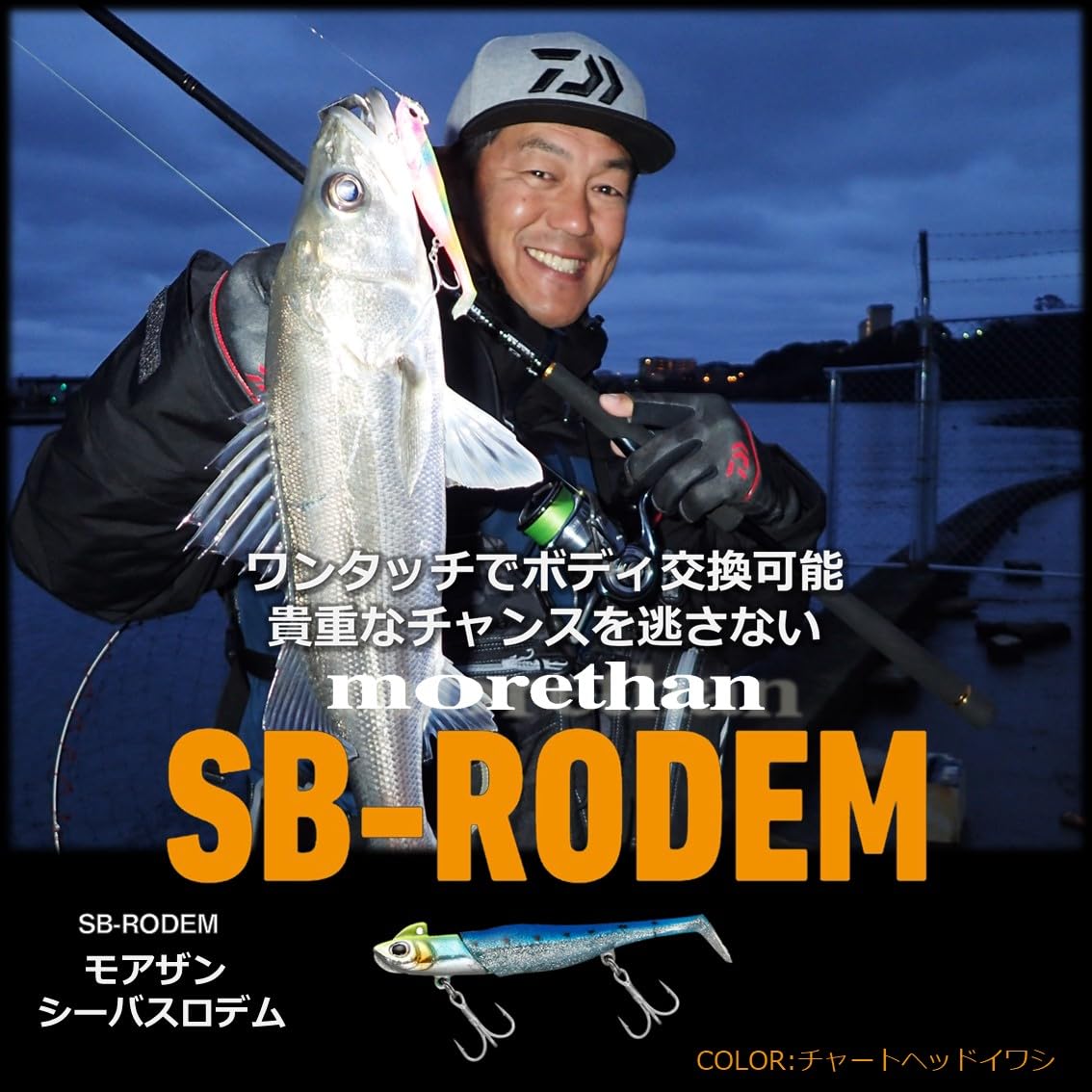 ロデムさん専用 41sGiYueLxL._UF350,350_QL50_.jpg