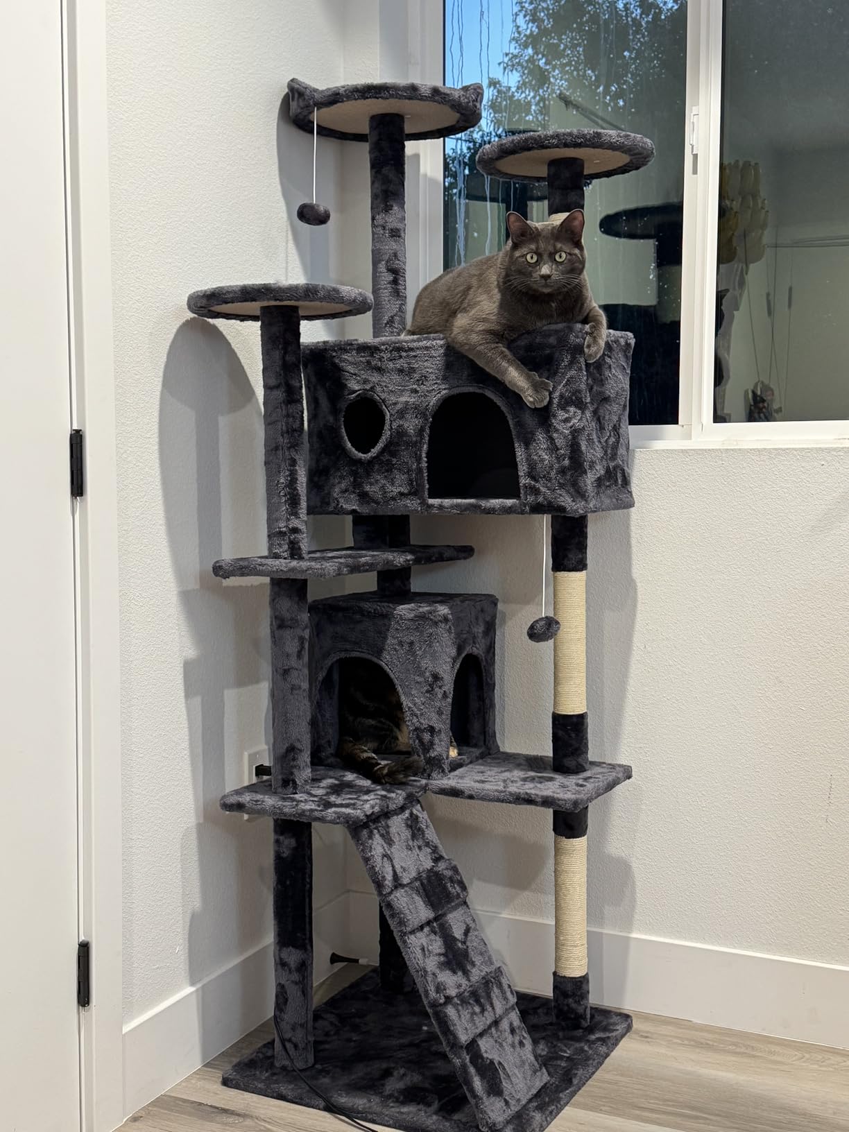 FDW Cat Tree 54in Cat Tower Multi-Level Durable Cat Scratching Post & Cozy Fun Cat Jumping Platform Space Saving Cat Condo Pet Play House for Indoor Cats,Dark Gray photo review