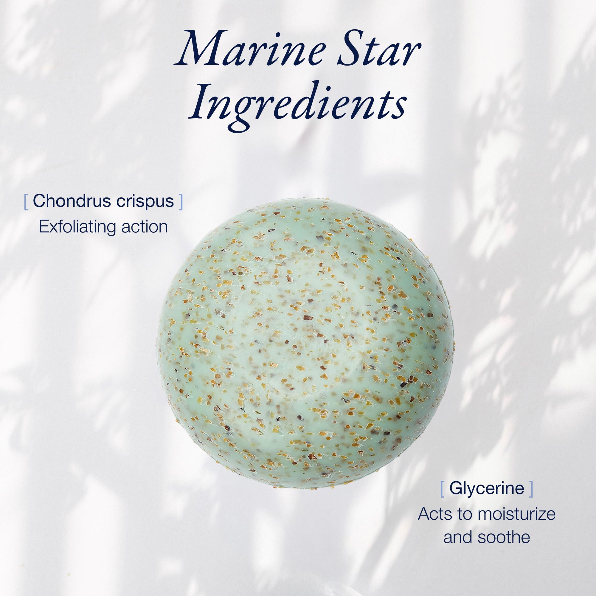 Phytomer Exfoliating Seaweed Soap Bar with Red Algae and Glycerine, 150 g
