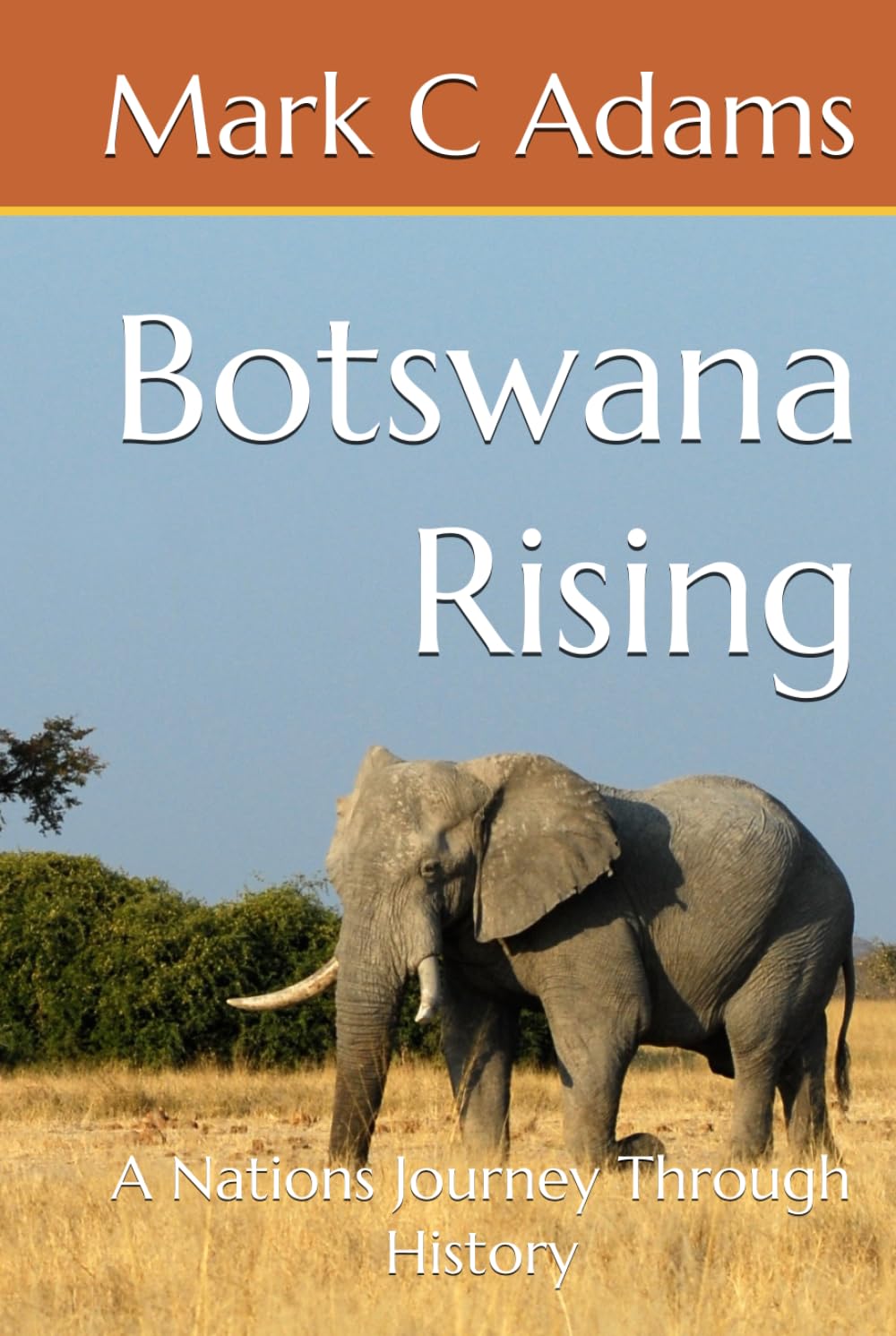 Botswana Rising: A Nations Journey Through History