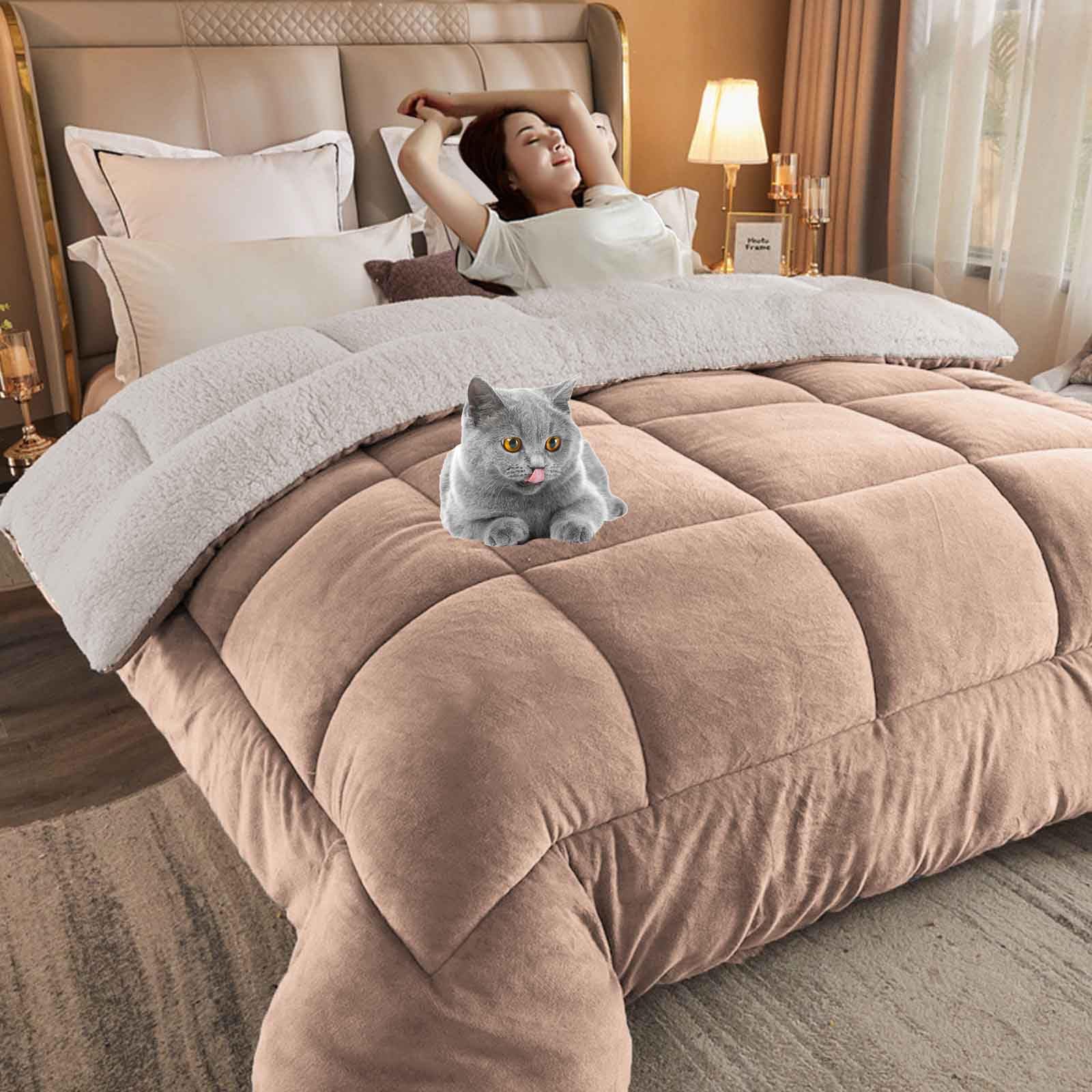 HLTQL Quilt Winter Lamb Velvet King,Thicken Winter Warm Lamb Velvet Comforter,Winter Duvet, Super Soft Warm Lamb Wool Quilt,Suitable for Autumn Winter(02,Pillowcase) — image 1