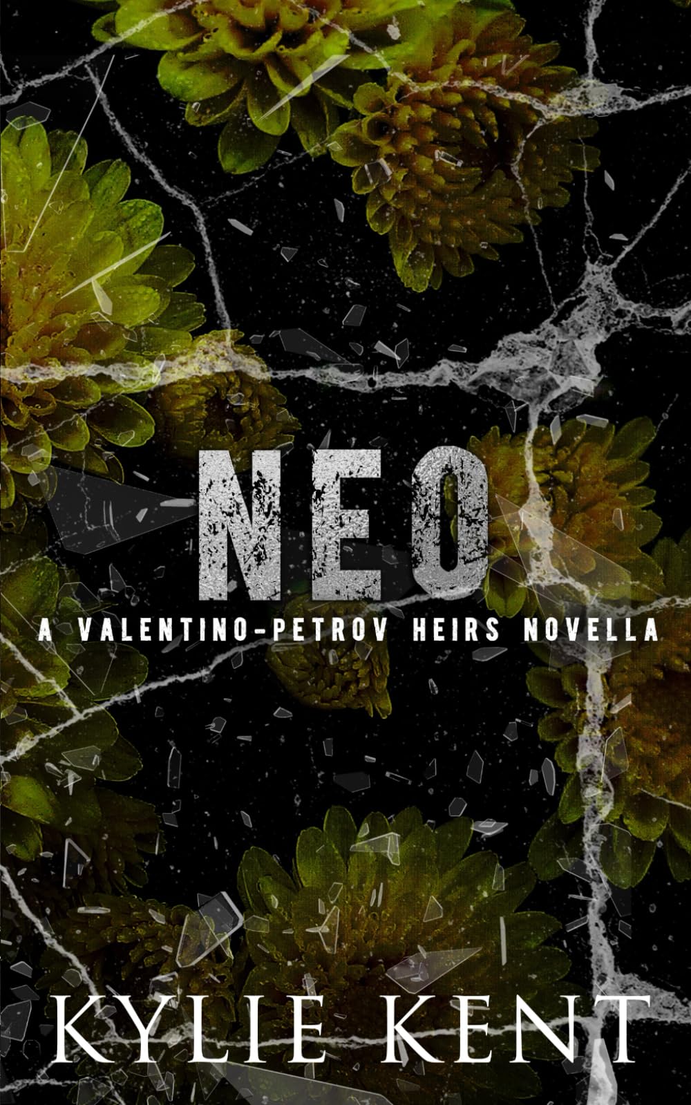 Neo: A Valentino-Petrov Heirs Novella