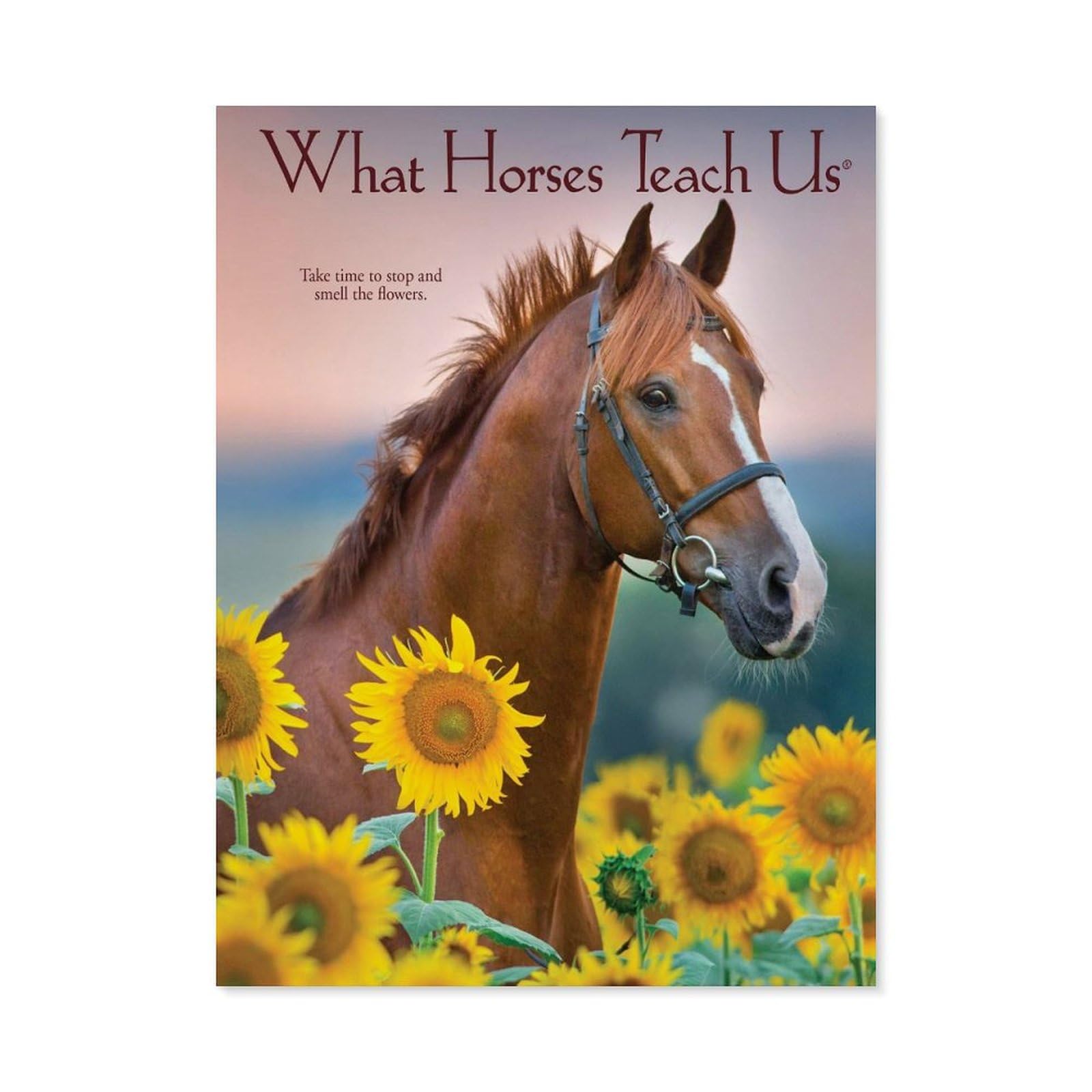 Paint by Numbers for Adults，Sunflower Horse，DIY Paint by Numbers Kits for Adults Kids on Canvas with Brushes and Acrylic Pigment Oil Painting Kits Home Decor Gift(40x50cm) 15.7x19.6 inches-A57