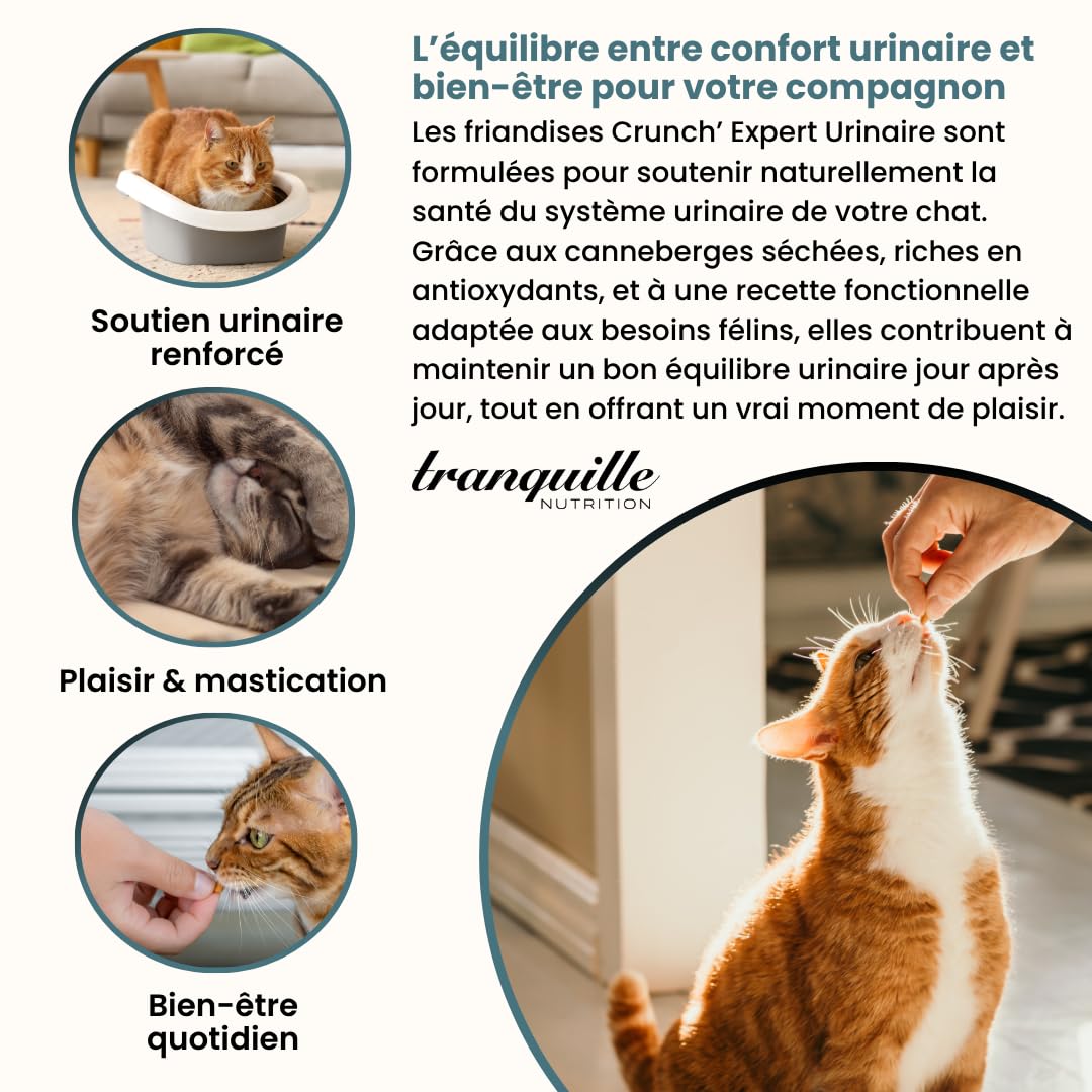 Tranquilo Crunch' Experto Urinario para Gato (40 x 60 g) | Dulces de Arándano Seco | Apoyo al Sistema Urinario | Croqueta Gato | Prevención de Infecciones | Snack Bienestar sin Azúcares