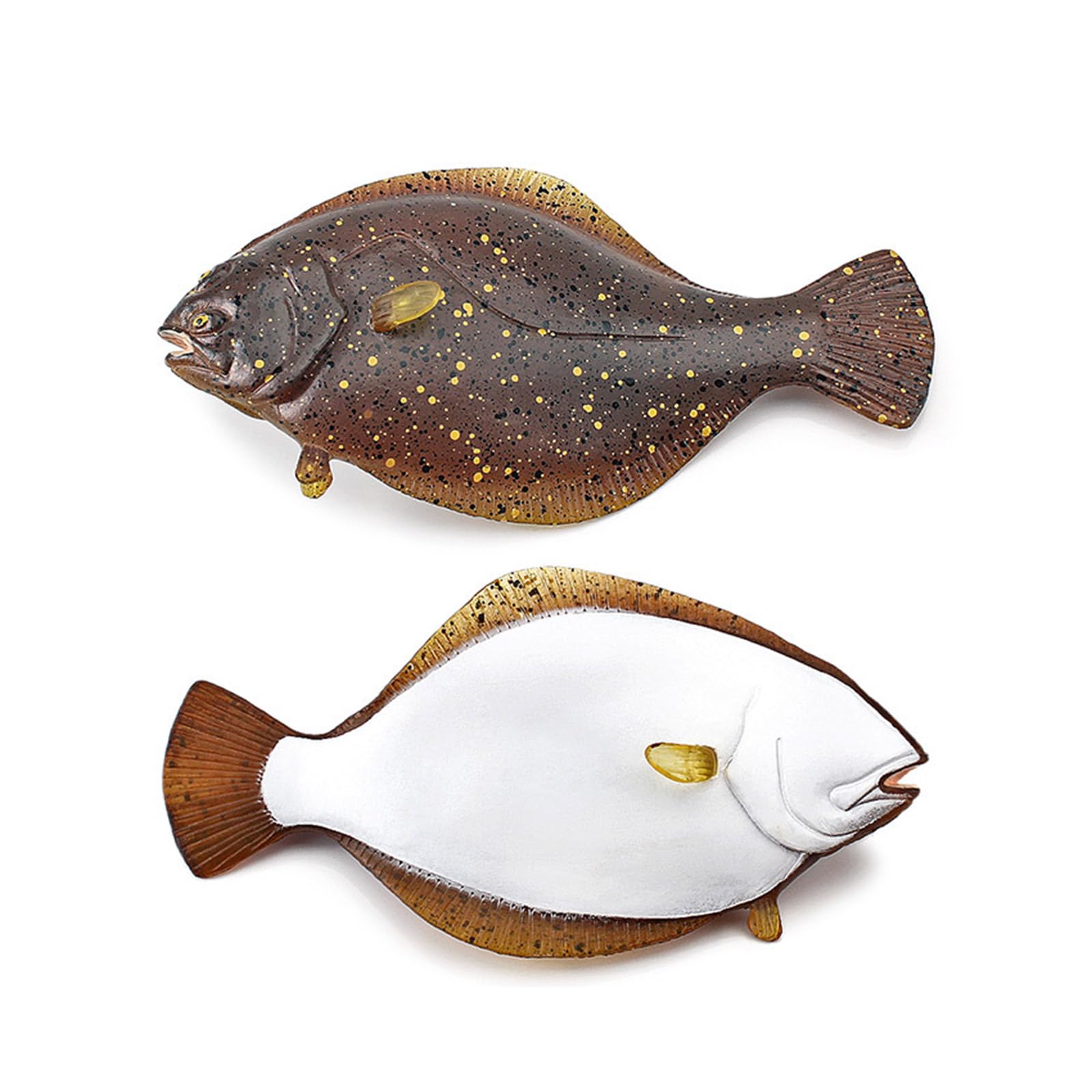 Amazon.co.jp: シミュレーション海洋動物カレイ/コククジラ/中国 