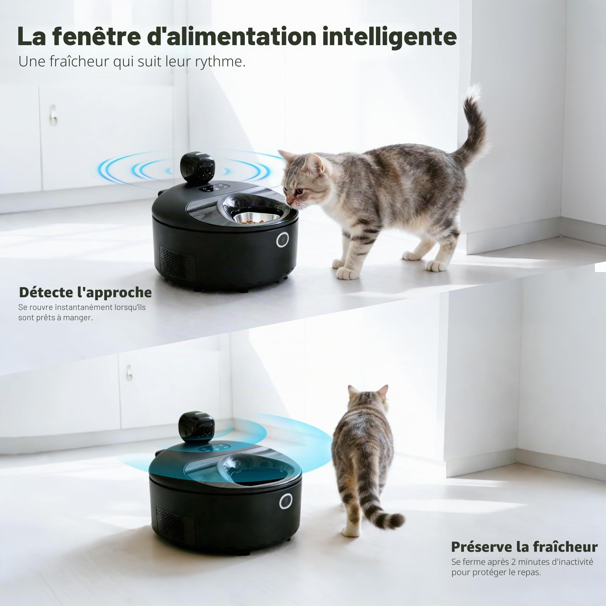 Distributeur automatique de nourriture humide pour chat avec surveillance 2 en 1 réfrigéré avec refroidissement à semi-conducteur, 5 repas frais, contrôlé par application, facile à nettoyer