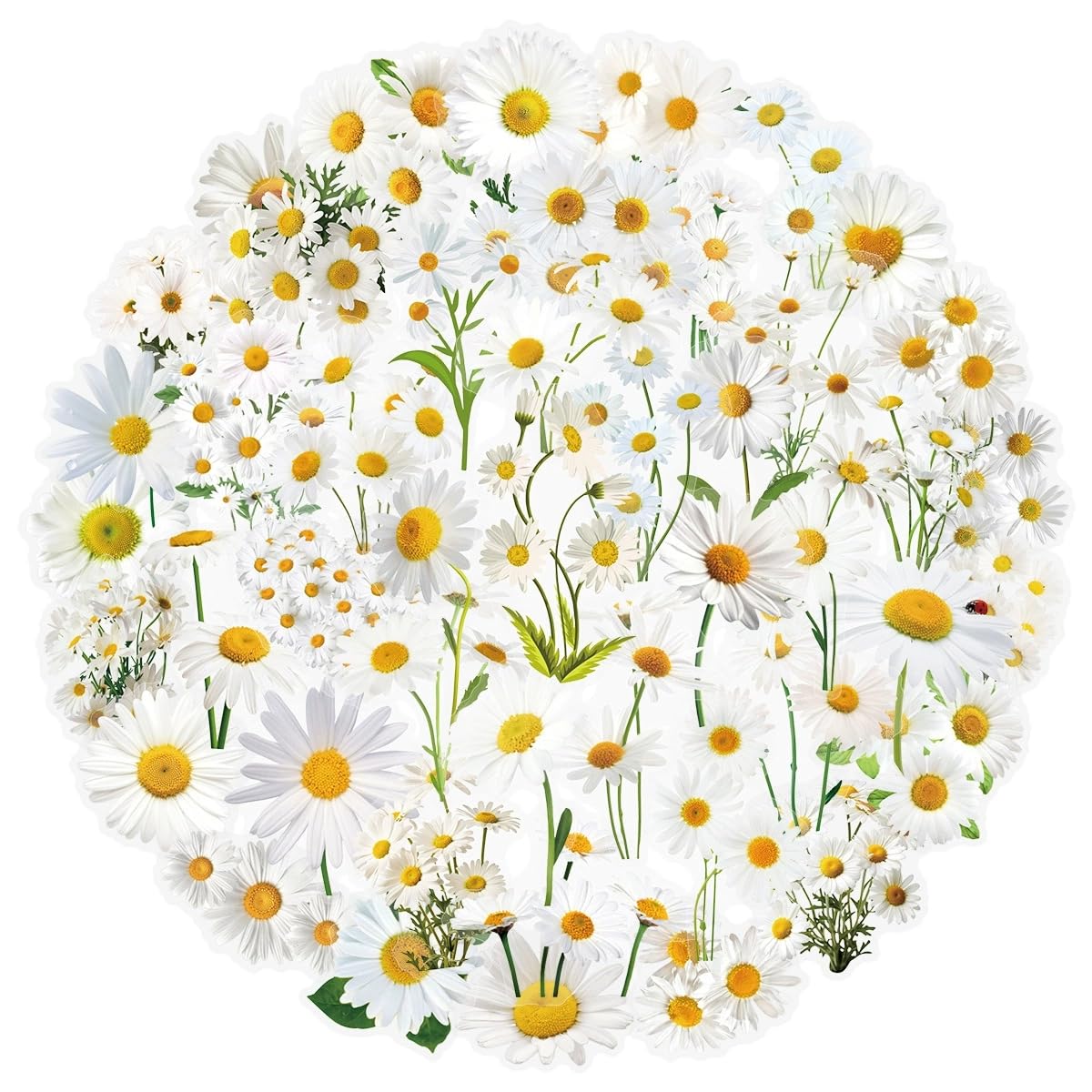 50 PCS Daisy Stickers,Daisy Sticker Pack Transparent Vinyl Skateboard Guitar Door Laptop Luggage Car Bike Water Bottle Birthday Party Supplies Teens Boys and Girls Decals — image 1