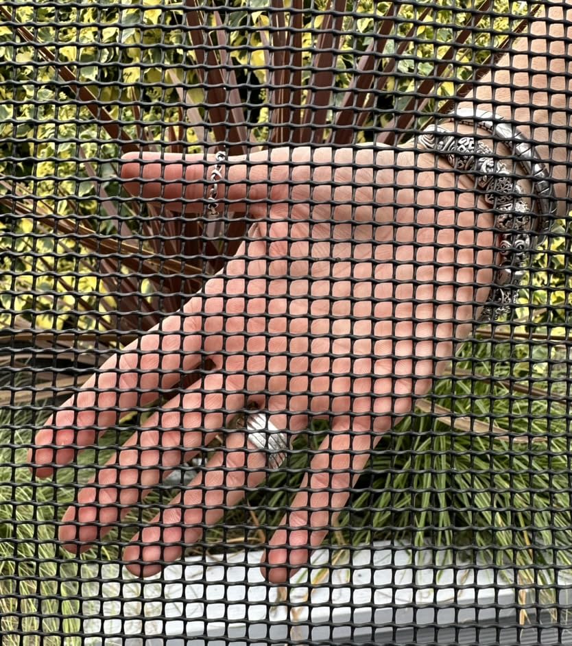 520 g/m2 Black Heavy Plastic Fence Mesh Garden Border Netting Plant Trellis 1m wide 5x5mm holes (1m x 10m)