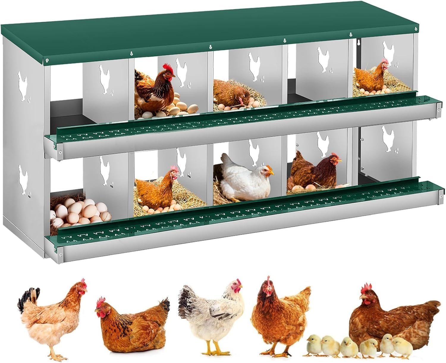 GarveeLife 10-Hole Chicken Nesting Box: Two-Tier Steel Rollaway Egg Collector with Vents, Tool-Free Wall Mount for Easy Collection