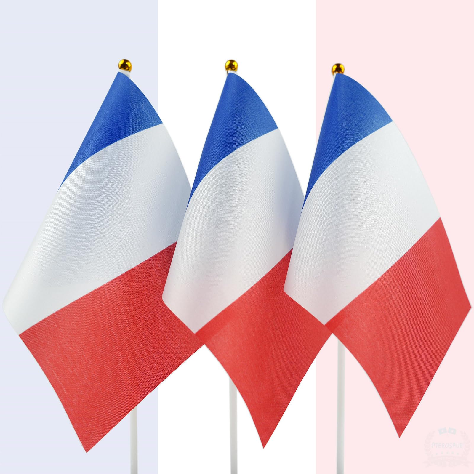 PTEROSAUR Lot de 100 drapeaux français à main, 14 x 21 cm, petits drapeaux nationaux français, pays européens du monde français à main à agiter (100)