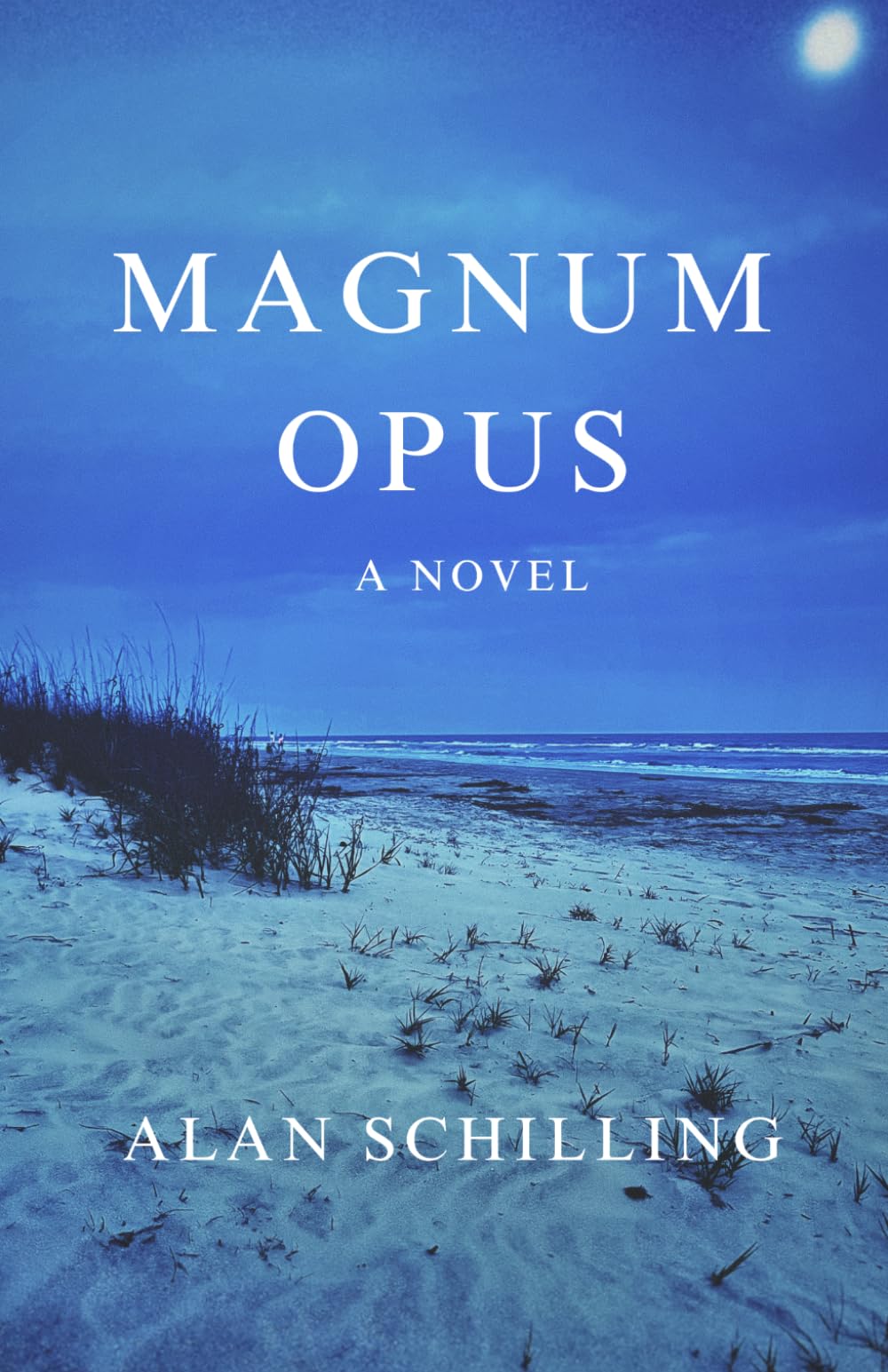 Magnum Opus: A Novel