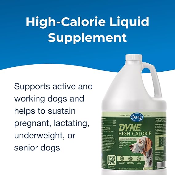 PetAg Dyne High Calorie Liquid Nutritional Supplement for Dogs & Puppies 8 Weeks and Older - 1 Gallon - Supports Performance and Endurance - Sweet Vanilla Flavor