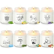 Scented Candles for Home, 8 Pack Soy Wax Gift Set for Women, Aromatherapy Candles, Lavender, Vanilla, Eucalyptus Mint, Ocean