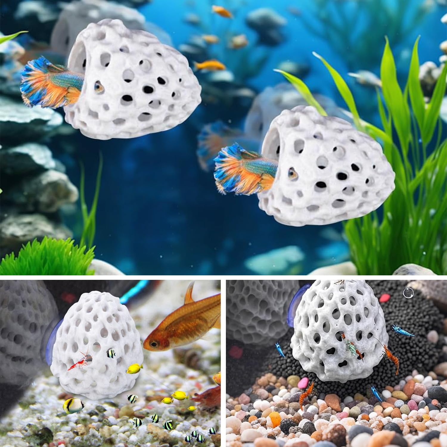 2 Pezzi Nascondiglio Per Pesci Betta, Nascondiglio Per Gamberetti in Plastica, Casetta Per Gamberetti, Per Piccoli Pesci, Gamberetti e Guppy Dove Nascondersi e Riposare, Bianco