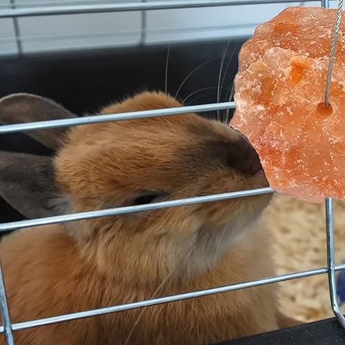 Miniatura 2 de PINVNBY Bloque de sal del Himalaya para lamer conejo, 12 piezas de bloques de sales minerales naturales rosas para mascotas pequeñas con gancho para