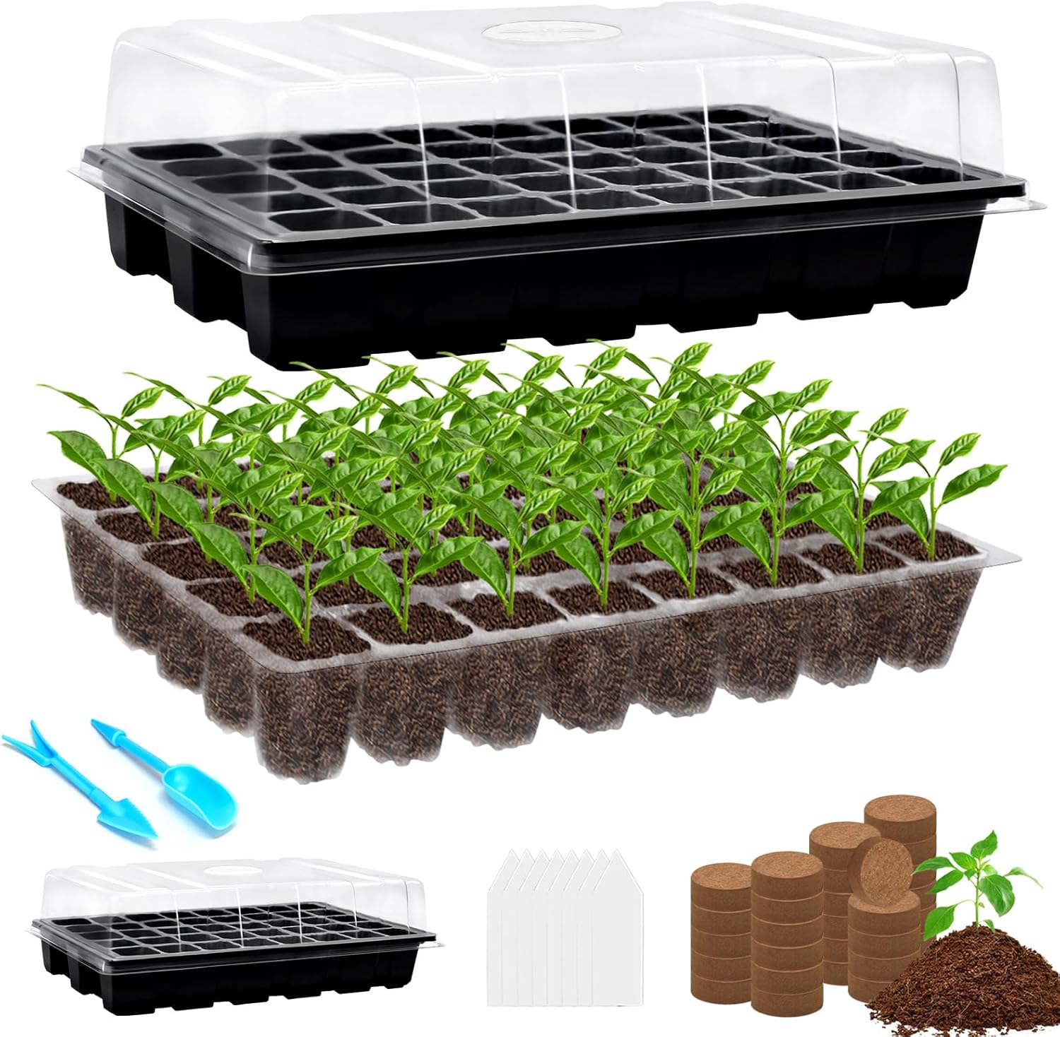 Halatool 2 Pack Seed Starter Trays with 80 Pcs Coco Pellets, Greenhouse Indoor Seed Germination System for Herbs Vegetables Flowers, Seed Starter Kit