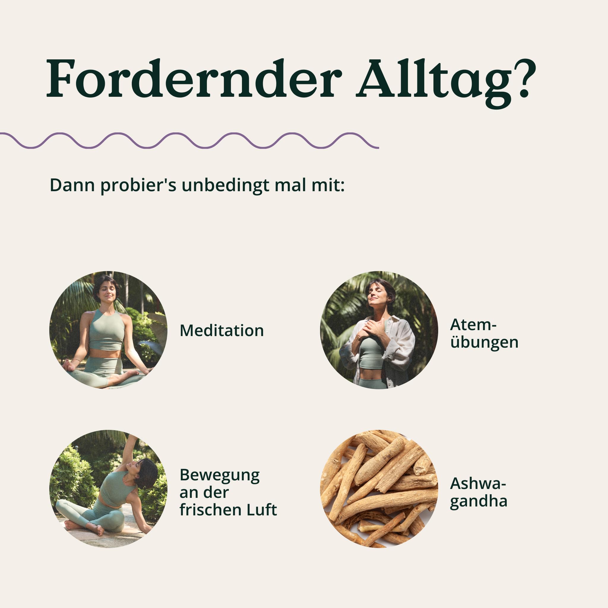 NATURE LOVE® Bio Ashwagandha - 240 Kapseln - Hochdosiert mit 1950mg je Tagesdosis - Hochwertiges indisches Ashwagandha - Laborgeprüft, vegan, in Deutschland produziert