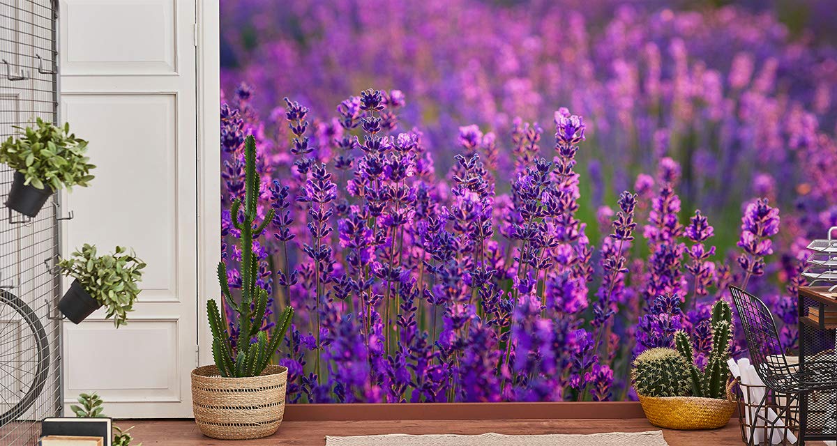 Muralo 70021155 - Papel Pintado, Diseño De Lavanda Y Flores