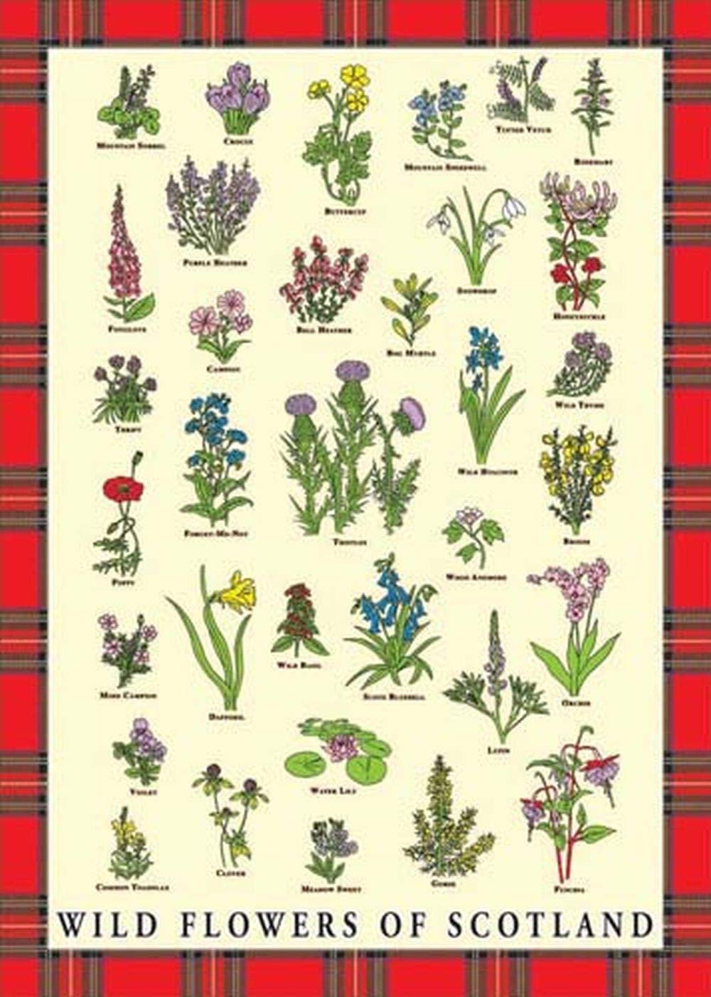 Tea Towel Scottish Wild Flowers