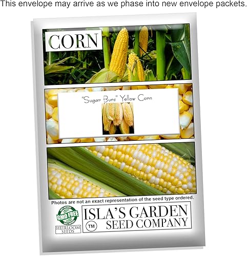 Miniatura 4 de Sugar Buns - Semillas de maíz amarillo dulce para plantar, más de 50 semillas tradicionales por paquete, semillas de jardín de Isla (semillas de