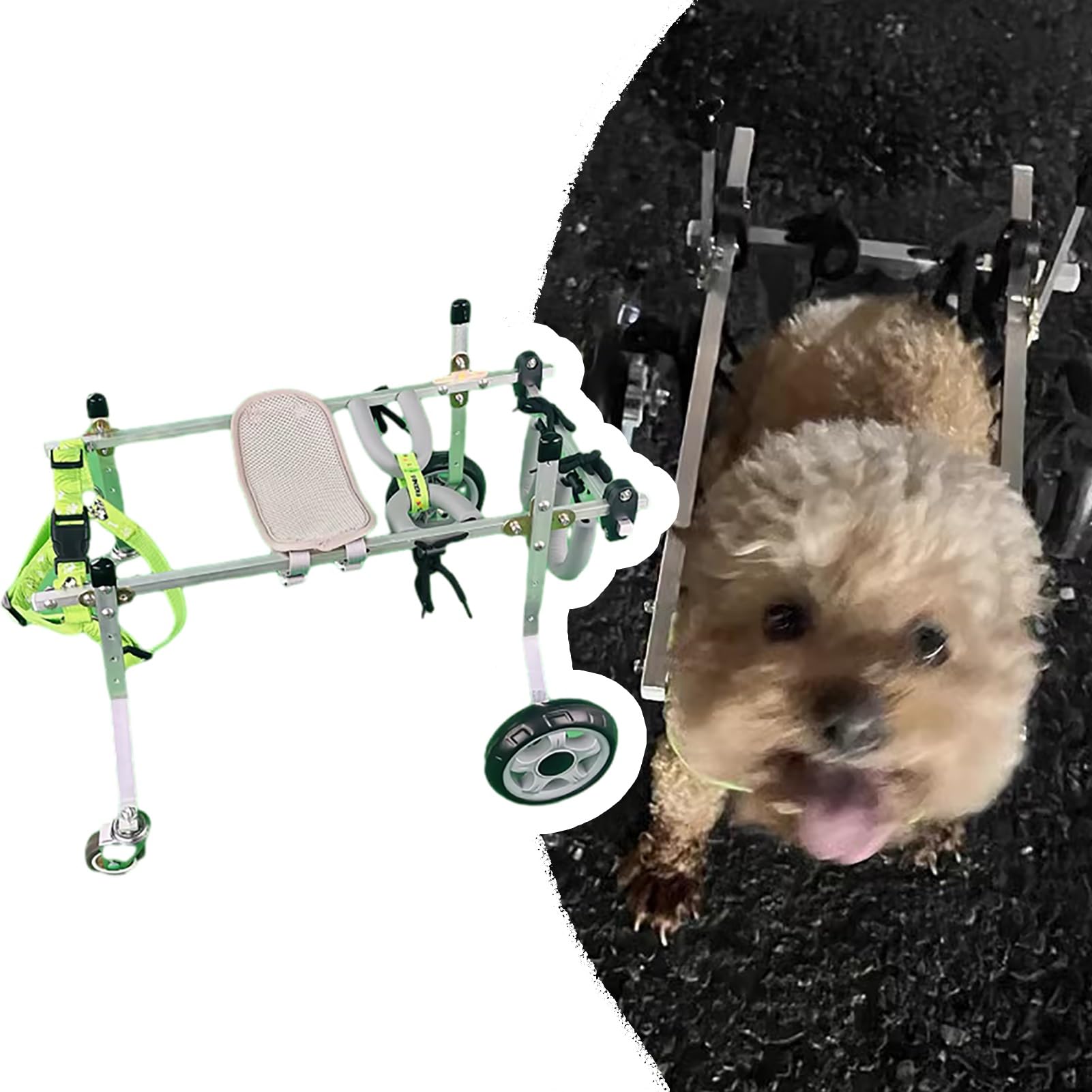 Outil d'exercice pour animaux handicapés réglable à 4 roues