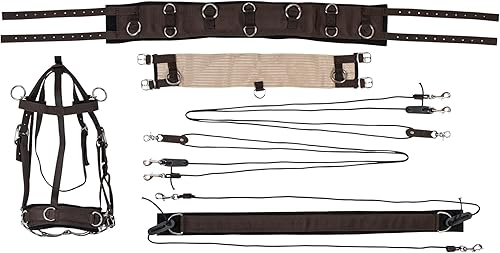 Sistema de entrenamiento de equilibrio Dura-Tech: juego completo esencial para entrenamiento de caballos | Mejora el impulso hacia adelante |