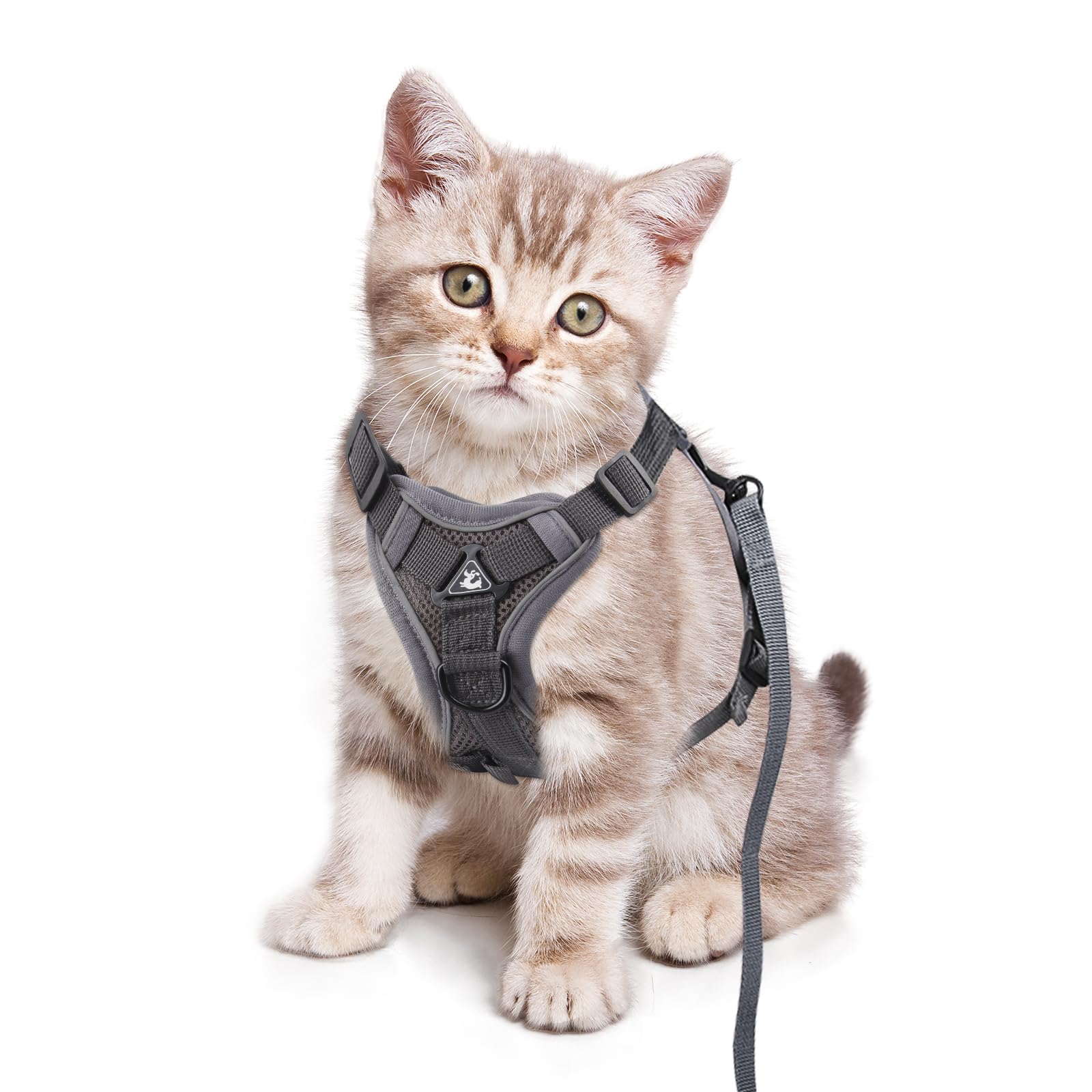 shudyear Second Generation Adjustable Cat Chest Carrier, Anti-Escape Adjustable Soft Mesh Cat Carrier and Chest Carrier Set for Small Cats and Puppies, Medium Cat Vestss (S)