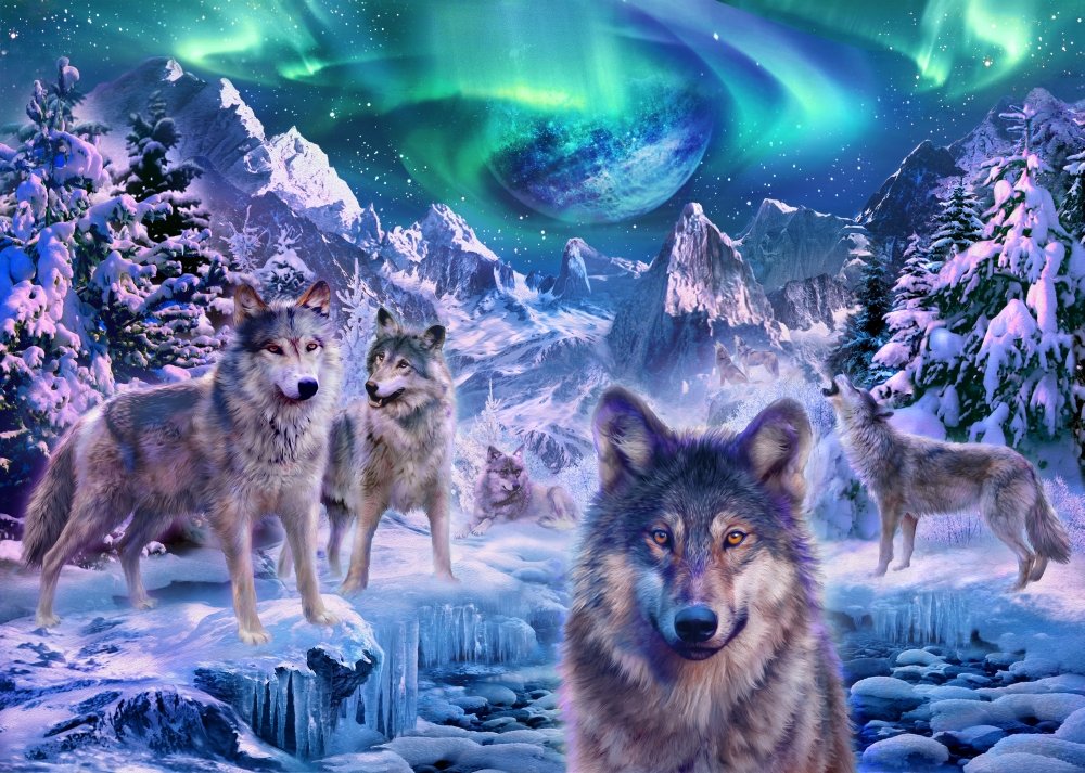 Winterwolf Poster Print by Jan Patrick (36 x 24)