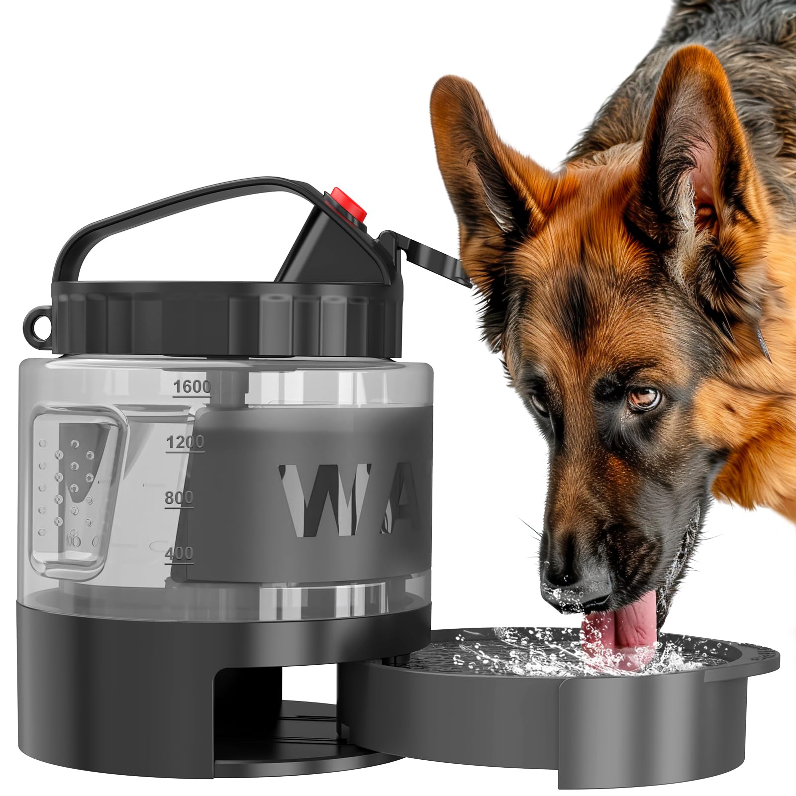 lesotc 2200 ml Trinkflasche für Hunde, Tragbare XXL extra große Hundetrinkflasche für unterwegs – Camping & Reisen für große Hunde (Schwarz)
