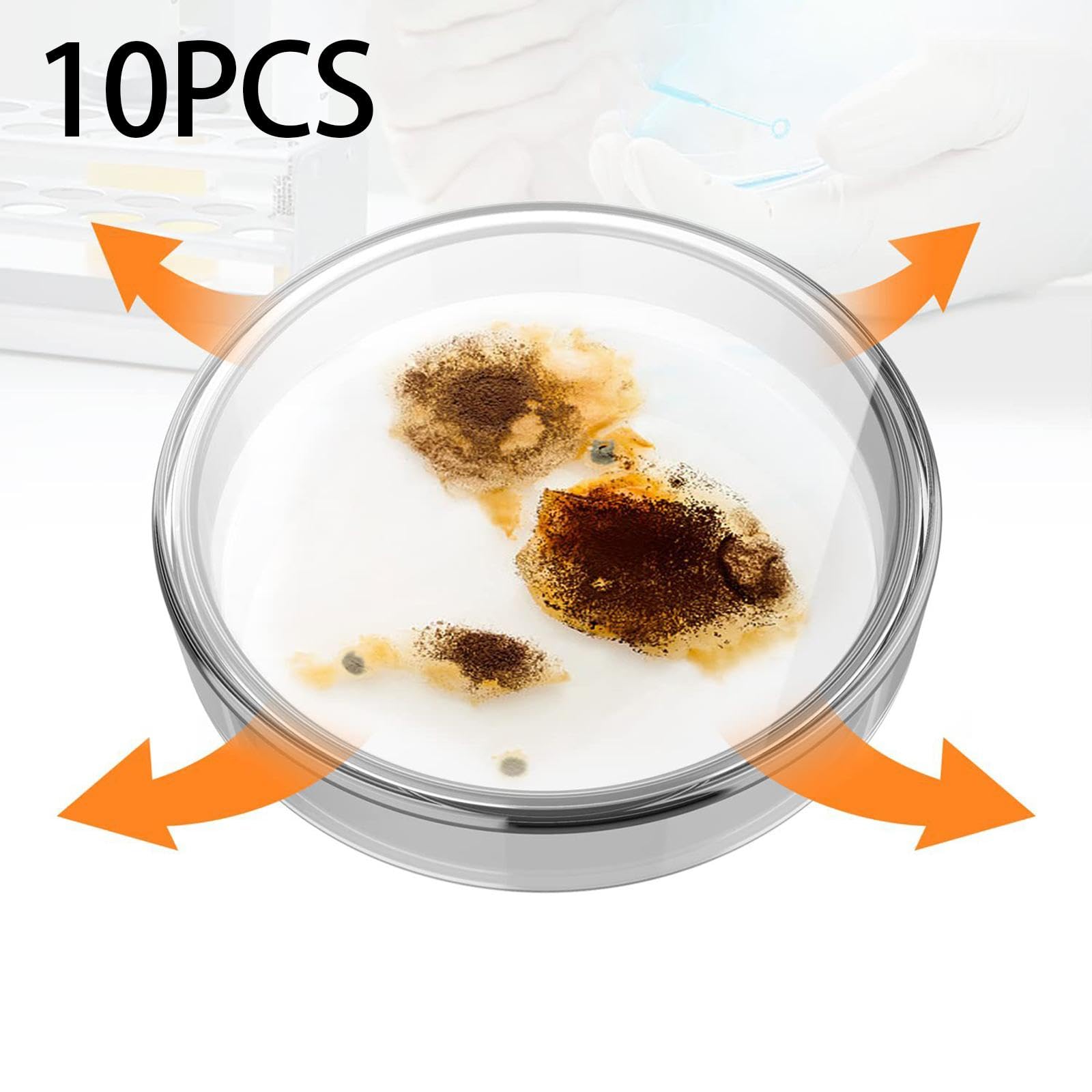 10 Piezas Placas Petri Vidrio con Tapa Platos de Cultivo Placas para Inoculación Borosilicato Termorresistente Adecuado para Proyectos de Ciencias Edu, 90 mm