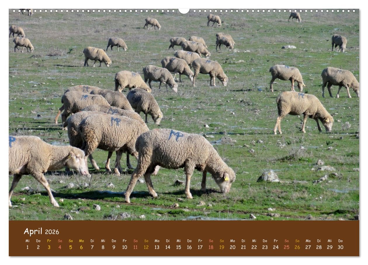 Extremadura Spanien (hochwertiger Premium Wandkalender 2026 DIN A2 quer), Kunstdruck in Hochglanz: Bilder aus einer einzigartigen Region in Spanien (CALVENDO Orte)
