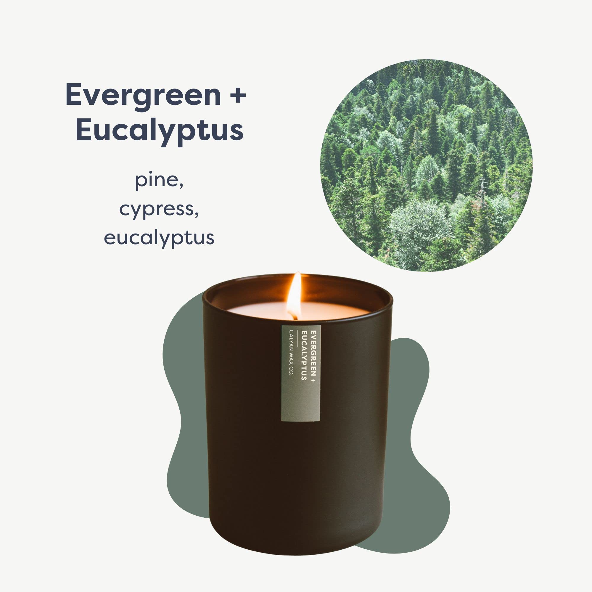 Calyan Wax Co., Kubek do świec Evergreen Eucalyptus