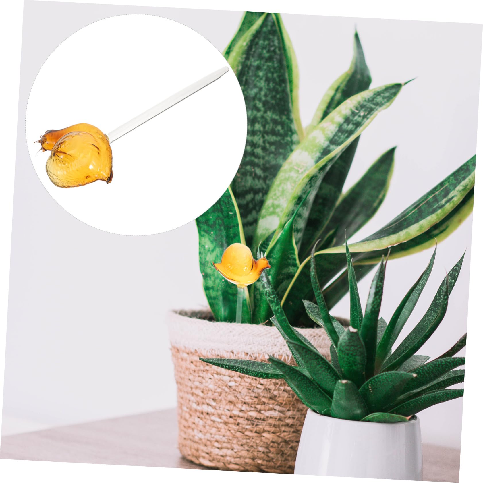 HANABASS Lot De 3 Dispositifs D'Arrosage Automatique pour Plantes en Croissance Dispositifs D'Arrosage Automatique pour Plantes D'Intérieur Arrosage Automatique Verre pour