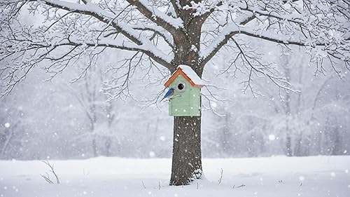 Miniatura 6 de Bluebird Casas para Pájaros para Exteriores en Liquidación  Juego de 3 Cajas Nido con Protector contra Depredadores de Acero Inoxidable  Techo de