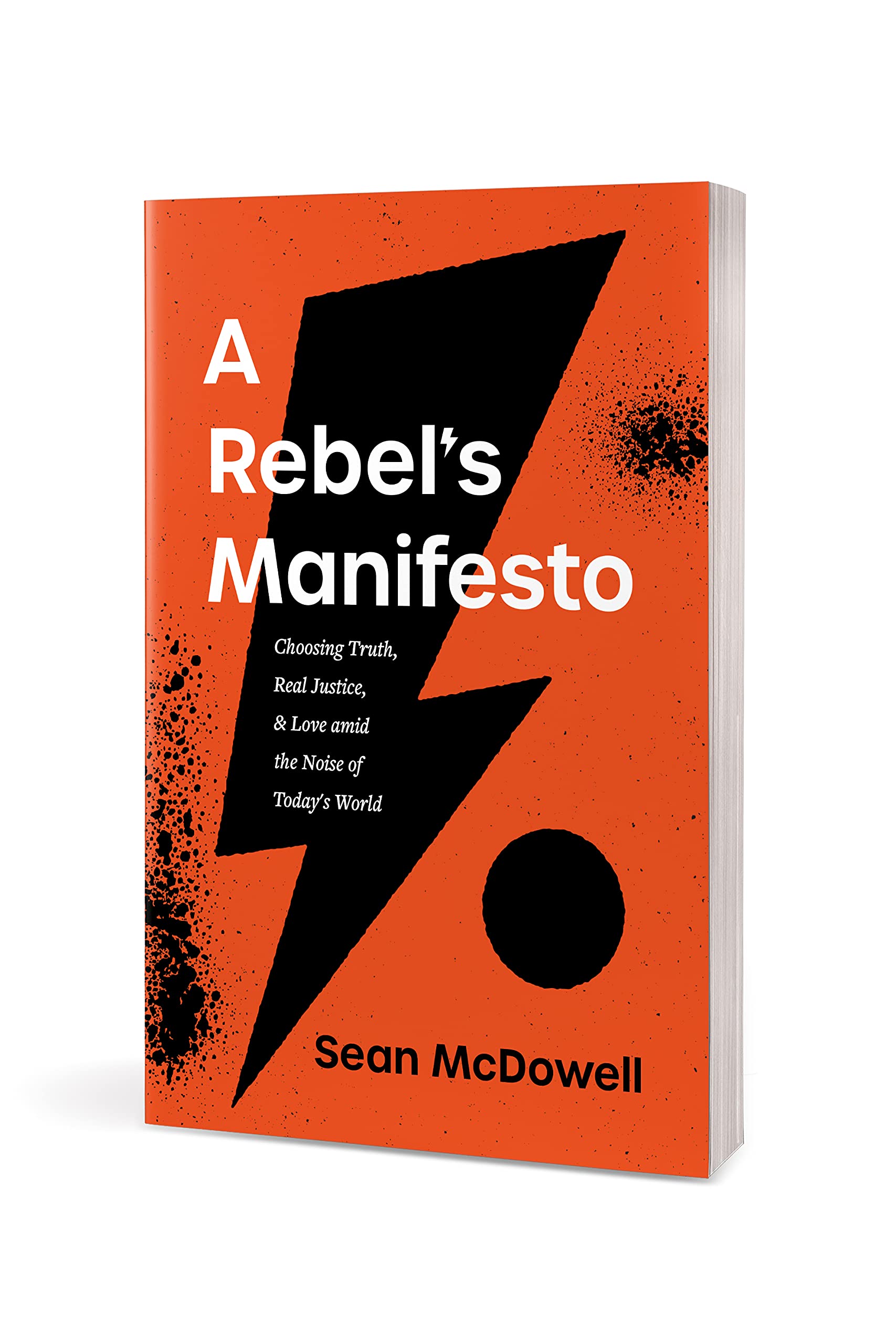 A Rebel's Manifesto: Choosing Truth, Real Justice, and Love amid the Noise of Today's World - Image 3