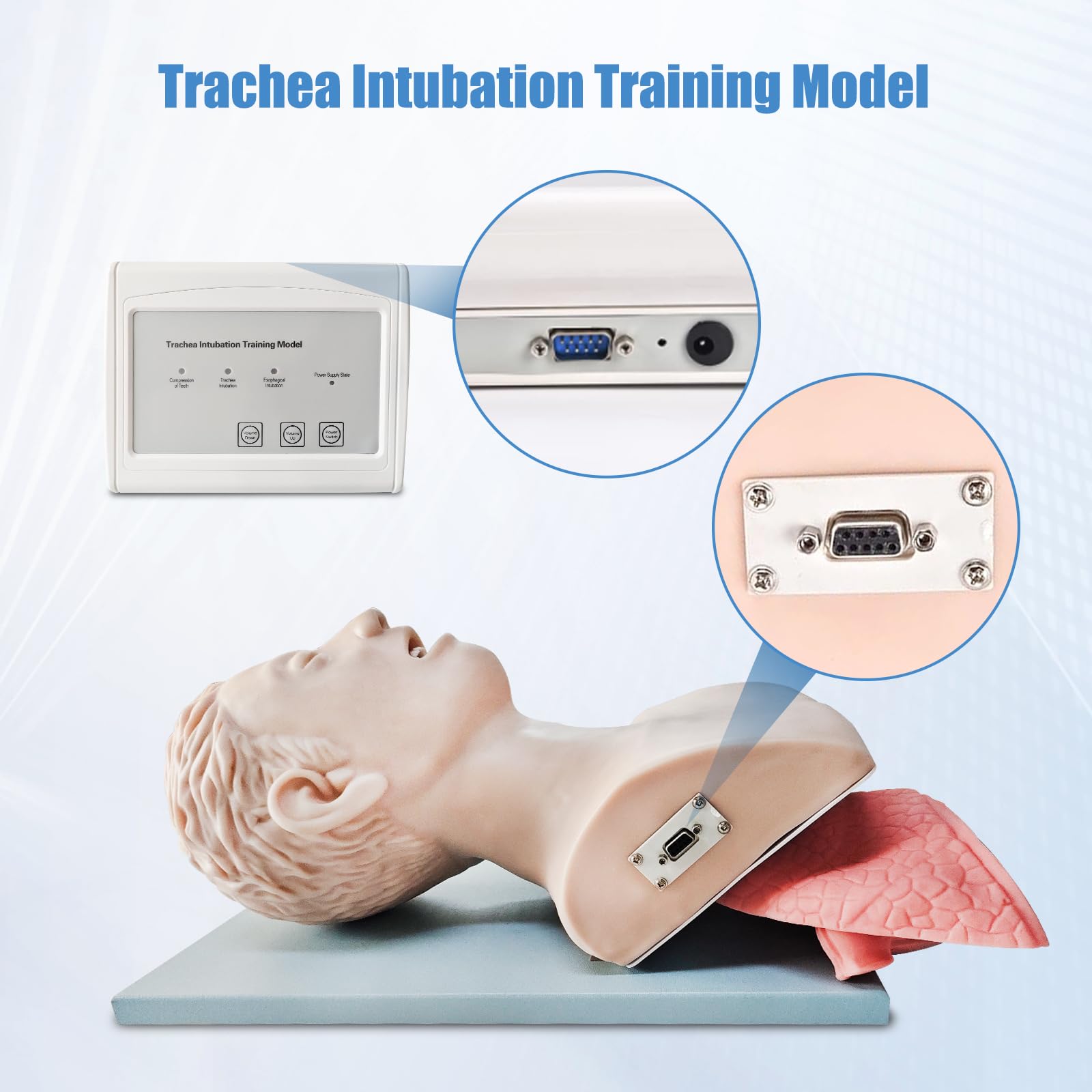 AMITD Modello di intubazione endotracheale in PVC, per allenamento orale/nasale, per educazione e pratica