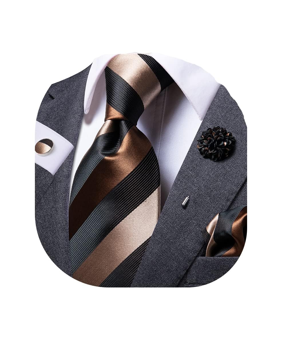 Dubulle Mens Tie and Lapel Pin Paisley Striped Floral Necktie for Men Pocket Square Cufflinks Wedding Party